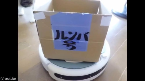 ルンバを乗りこなす猫02
