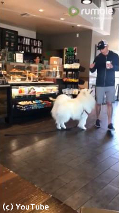 コーヒーショップのかわいいお客さん05