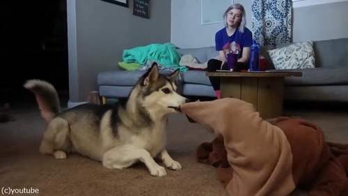 Ʊ�︤�������ͥ�����ϥ�����02