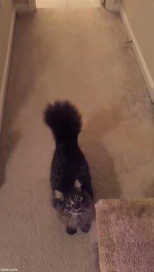 �פȺʤ���ߤ�ǭ��̾����Ƥ֤Ȥ�03