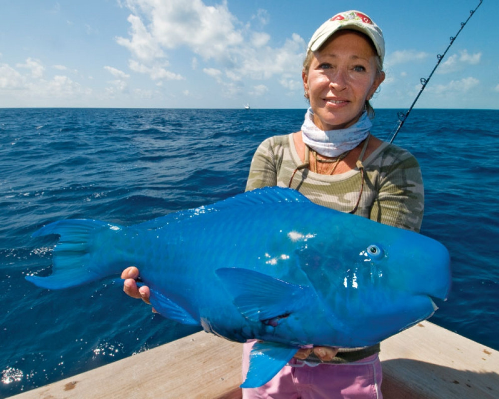 海よりブルーな魚が釣れた 青すぎて仰天するレベル らばq