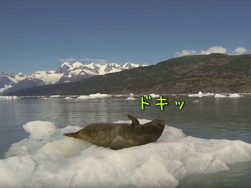 �������Υ����饷��ä����ȡĤ���ʥꥢ�������򤹤롪��05