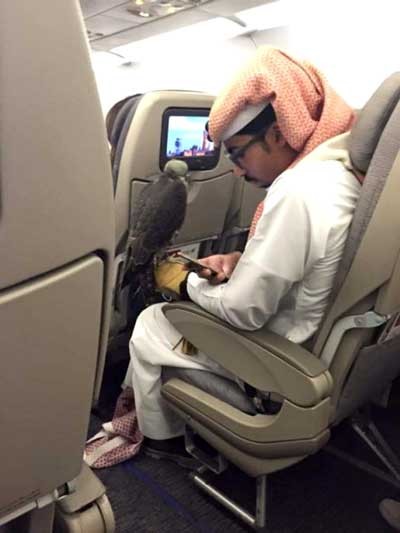 06電車、バス、飛行機での変わった乗客