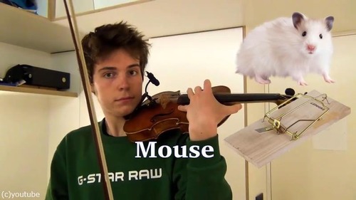 ヴァイオリニストが動物の鳴き声を演奏する03