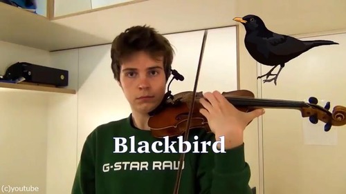 ヴァイオリニストが動物の鳴き声を演奏する09