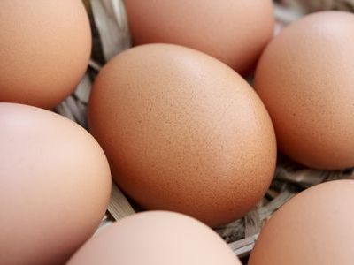 ニワトリが先か、卵が先か