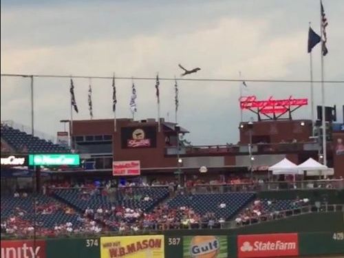 「リス」がスタンディングオベーションを受ける01