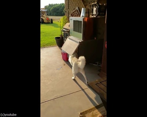 ����ˤ��鲿���ФƤ�04