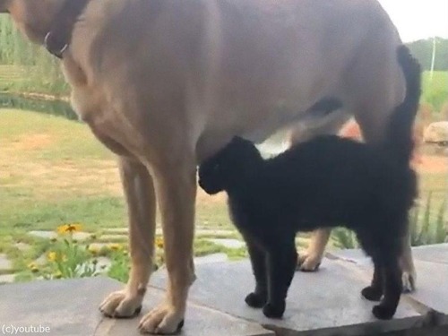 ���������᤮�ƥ٥å����ǭ03