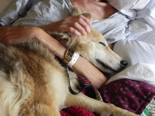 最後は愛犬と05