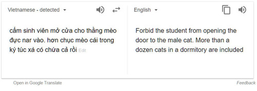 このオス猫を入れてやってはいけない02