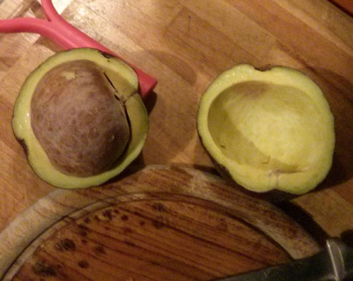 残念なアボカド02