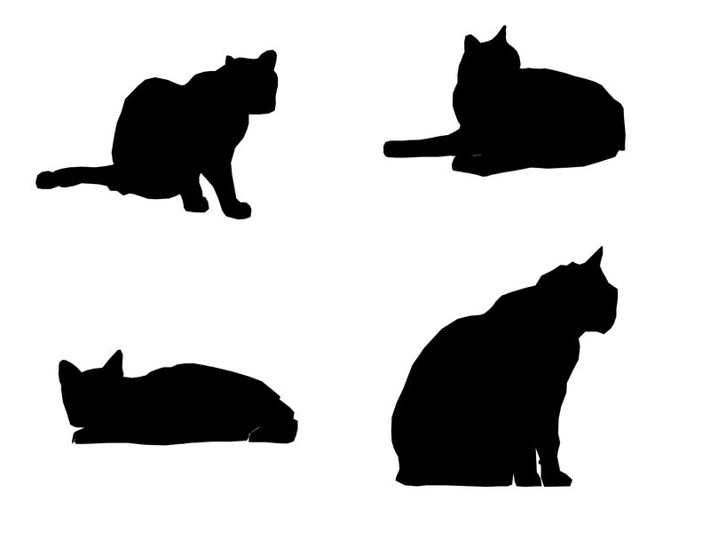 家の中に入れて欲しいときの猫は この2つのタイプに分かれる らばq