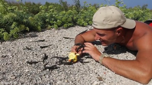トカゲにモテモテのお兄さん01