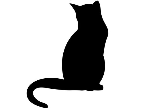 「どうも隣の猫に嫌われてる気がするんだけど…これを見てどう思う？」