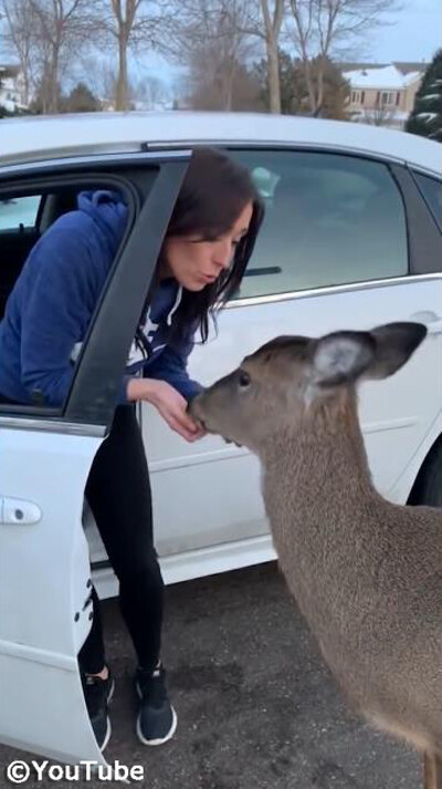 �ե��ɥ꡼�ʼ�04