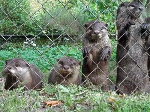 トップ画像候補01