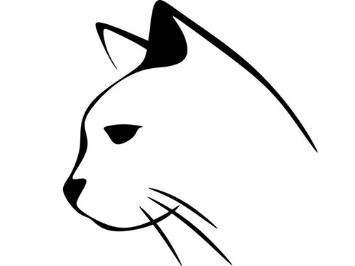 大学に1度見たら忘れられない猫