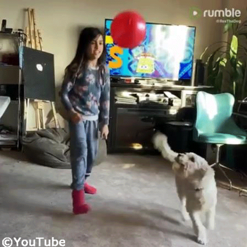 �Х롼��ͷ�Ӥ�ڤ���Ҥɤ�&�������02