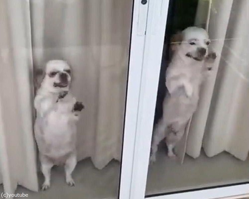 ���𤷤���������Ԥ��ڤ�ʤ��Ҹ�����03