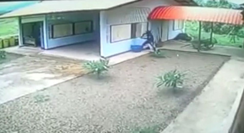 絶対に失敗する泥棒03