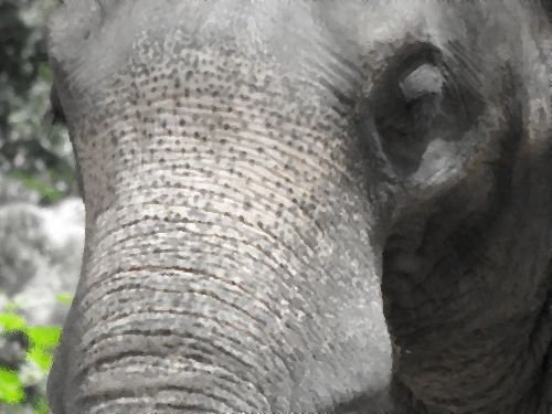 50ǯ֥ɤǴƶؤƤ߽Ф00