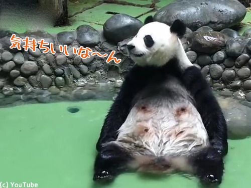 �ѥ�����������ʤ������˿ʹ�00
