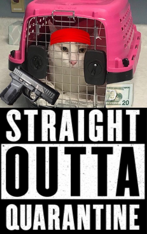 60�äǼƸ��ȿ�����ۤ��ȥ�ޡ�07