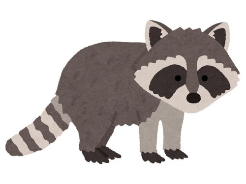 秘密を暴露されてしまった夫の主張「アライグマに文句が言いたい、なぜなら…」