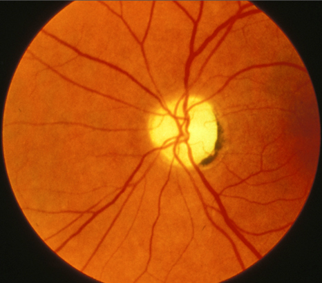 アイルランドの道はすべてダブリンに繋がっている02