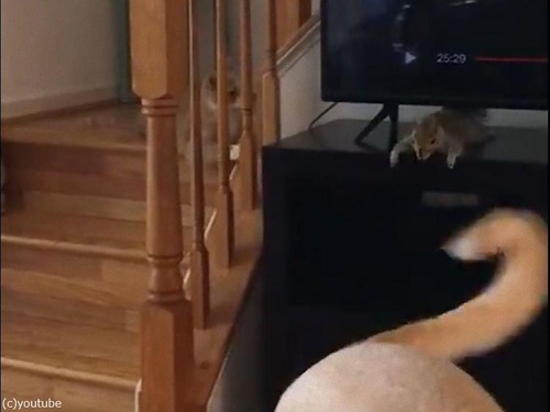 �ꥹ�Ƚ��λҤ��ɤ������ä�03