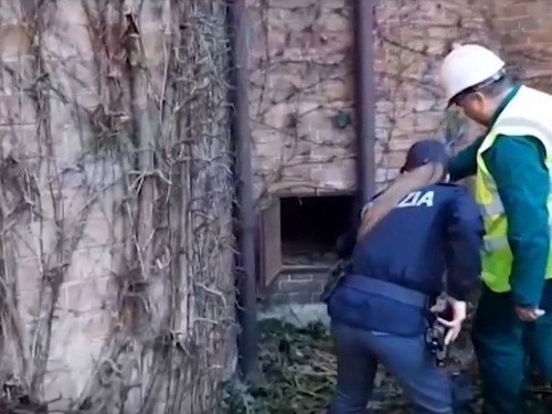 ���������˥����Ȥγ�00