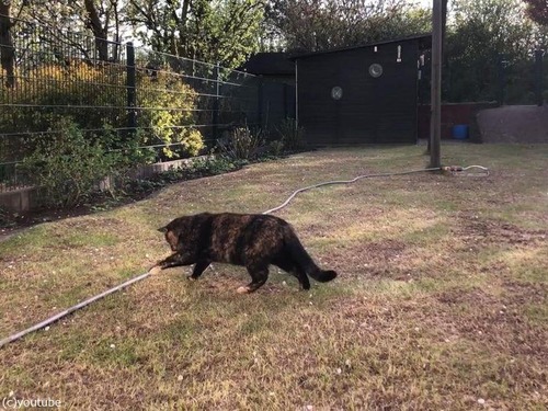 �ۡ��������ˤʤ�ǭ02