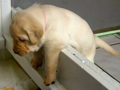 �֤��̡̤ġ�00