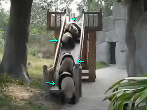 �ѥ���δ���ź�����٤���