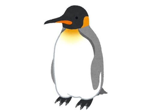 「レアな黄色いペンギンと黒色のペンギンを両方撮影したカメラマンがいる…」