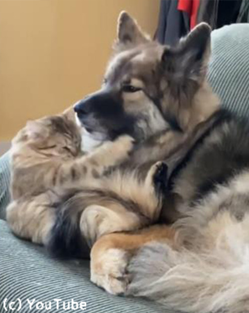 Ʊ������ۤ����ɤ��ʤդ���02