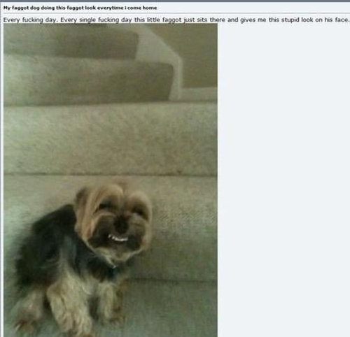 ����������μ̿�05