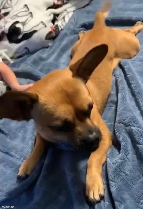 �֤������븤02