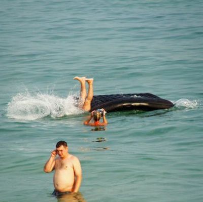 どうしてこうなった14