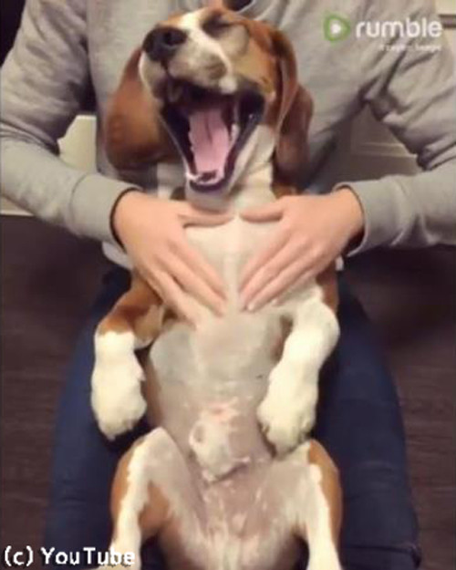 �ʤ�Ȥ���æ�ϴ��ĥޥå����������ӡ����븤03