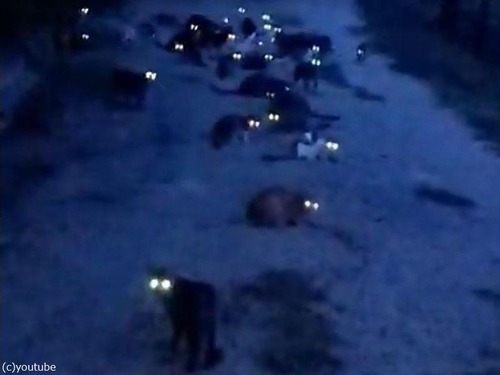 ���������ǭ���ܤ�����01