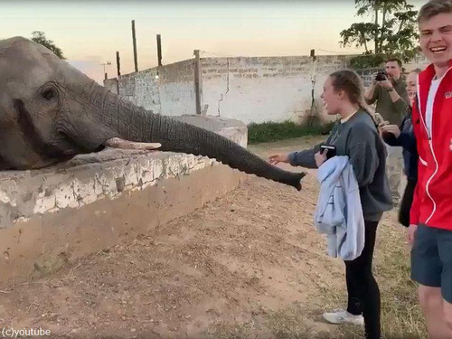 ���ߤ˥����˶�Ť��������01