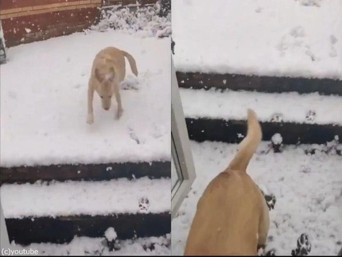 ��˶�ʳ���Ƴ��˽Ф���02