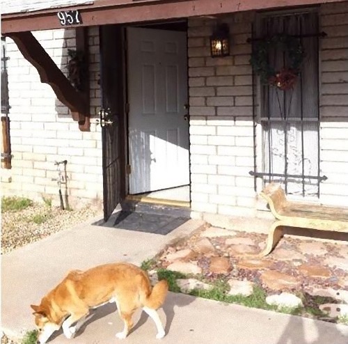 宅配便のファインプレー02