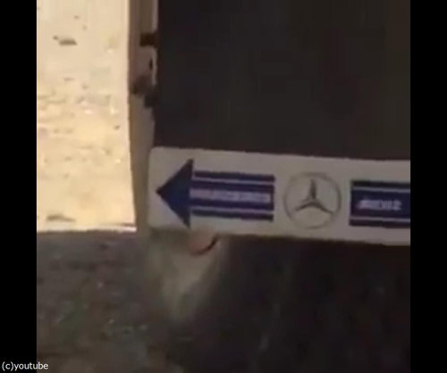 トカゲが走ってくる理由06