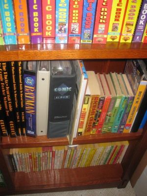 海外のコミック愛好家03