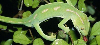 �ݸ�ȥ���10