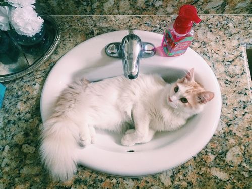 ��ǭ����ä���Ĥ��äݤ�������Ĺ����03