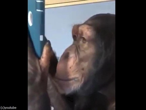 ���ޥۤ�Ȥ����ʤ�����ѥ󥸡�00